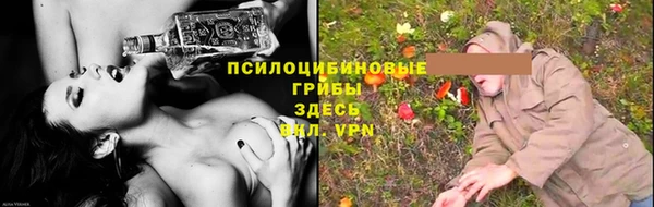 прущий лед Аркадак