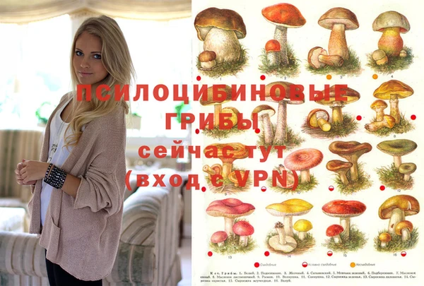 кокаин перу Алексеевка