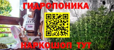 шишки Волгодонск