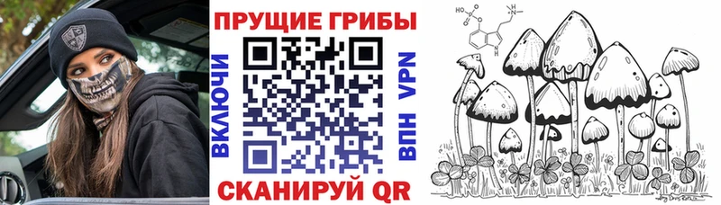 Псилоцибиновые грибы Magic Shrooms  Асбест 