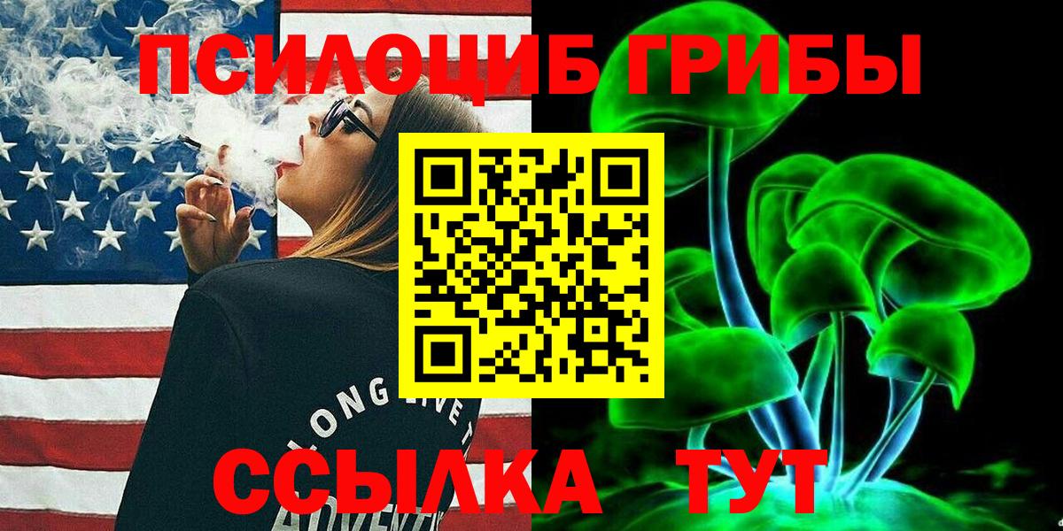 Галлюциногенные грибы Psilocybine cubensis Асбест