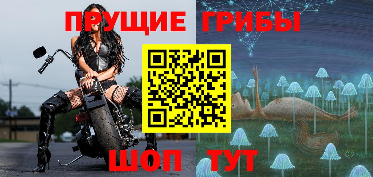 Псилоцибиновые грибы прущие грибы  Псилоцибиновые грибы Psilocybine cubensis  Асбест 