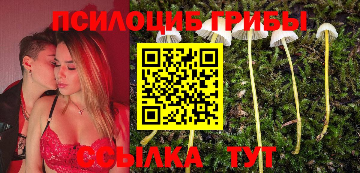 Галлюциногенные грибы Psilocybe  Вход с VPN  Асбест 