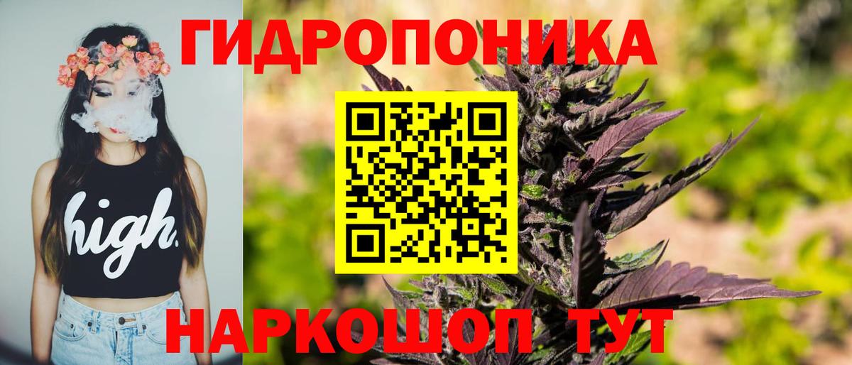 Бошки Шишки SATIVA & INDICA Асбест